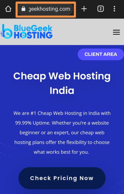 top 10 web hosting companies in india